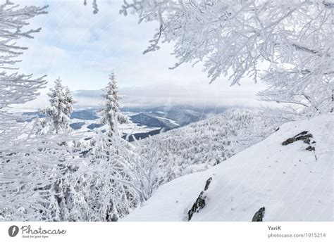 Winter In The Bavarian Forest A Royalty Free Stock Photo From Photocase