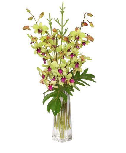 16326 us highway 431 s, headland, al 36345 view map. DIVINE DENDROBIUMS Vase of Orchids in Dothan, AL - House ...
