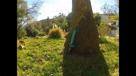 Maybe you would like to learn more about one of these? Minecraft for Real - Real Life Diamond Sword - YouTube