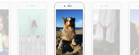 So, how is it done? iPhone 6s: how to make your own custom Live Photo ...