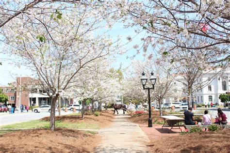 5 Things To Put On Your Cherry Blossom Festival Bucket List The Den