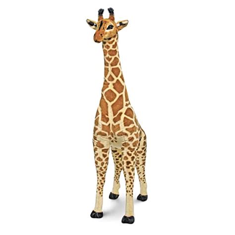 How Much Does a Giraffe Cost? (Zoo Prices) - Animal Seer