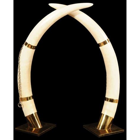 Elephant Tusk Logo - LogoDix