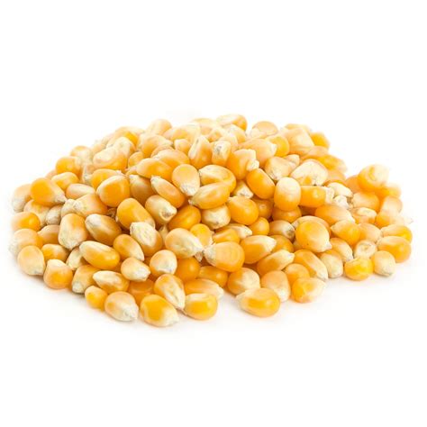 Bulk Popcorn Kernels Bulk Nuts And Seeds Oh Nuts