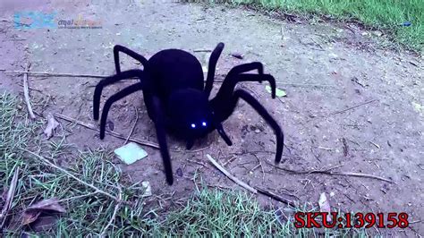 Remote Controlled Simulation Black Widow Spider Toy Youtube