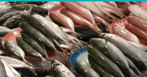 Ikan ini memiliki warna yang lebih. Mengenal Jenis Ikan di Pasar ~ PROTEIN