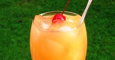The Bestest Recipes Online Sex On The Beach Cocktail
