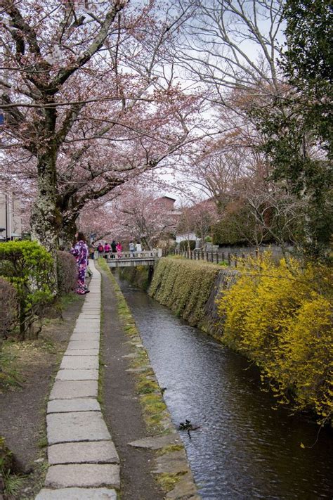 The 5 Must See Sakura Locations in Kyoto, Japan | A Happy Passport