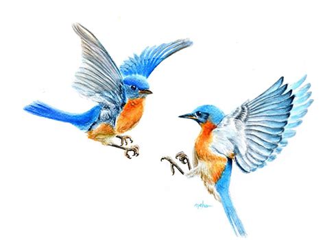 Flying Blue Birds 2020 Watercolour By Neha Soni Nature Art Prints