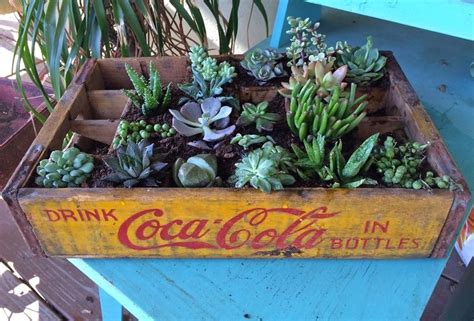 Old Coke Crates Vintage Gardening Vintage Typewriters Coca Cola