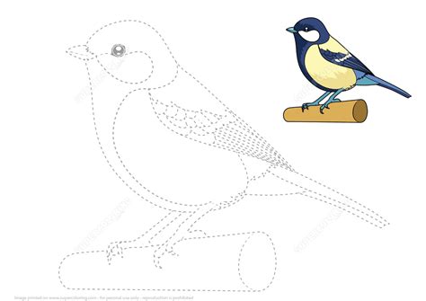 Draw Great Tit By Tracing Dashed Line And Color Free Printable Puzzle Games