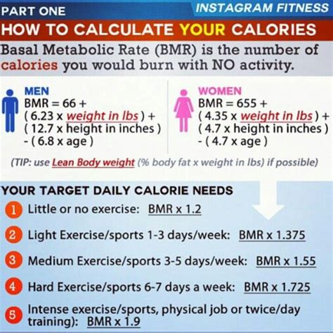 how to calculate your bmr and calorie needs haiper