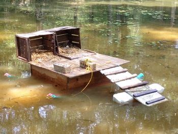 You can also simply use large stones for a super easy diy turtle dock for your pond. Scovies Started Laying On Floating Dock | Floating dock ...