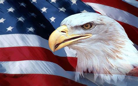 Free Download American Flag Wallpaper 1024x768 Eagle 2560x1440 For