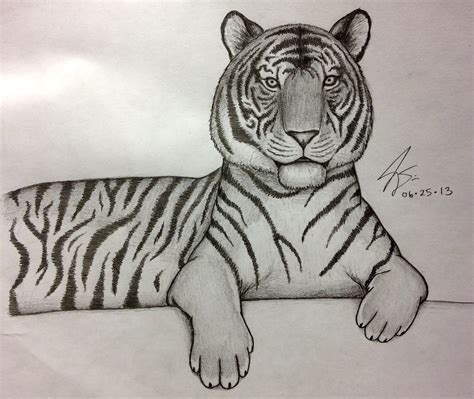 Simple Tiger Face Drawing At Getdrawings Free Download