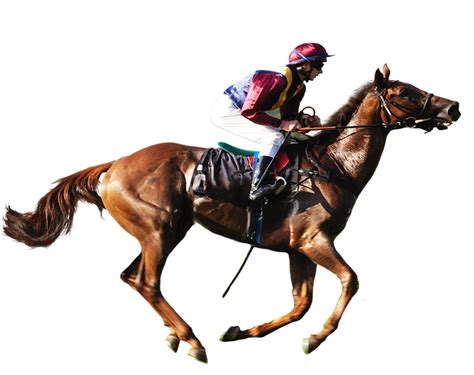 Are you searching for tribal png images or vector? Horse racing transparent background PNG Image sports web ...