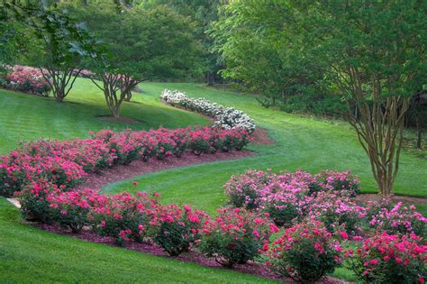 Spring Garden Tips And Inspiration From North Georgia Official