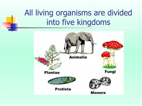 Ppt The Five Kingdoms Of Living Organisms Powerpoint Presentation Free Download Id 1931049