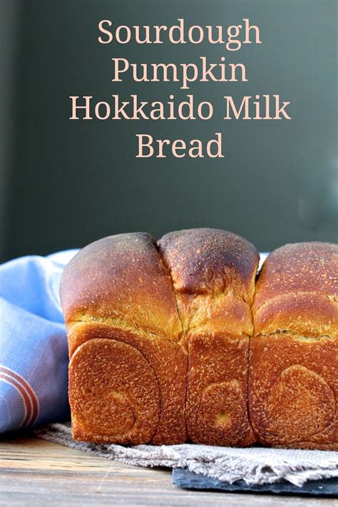 It is essential that your pumpkin puree is drained before weighing. Sourdough Pumpkin Milk Bread | Sourdough, Hokkaido milk ...