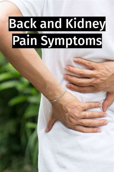 Can A Kidney Infection Cause Lower Back Pain