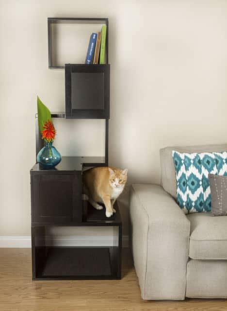 3 Modern And Stylish Ways To Catify Your Home The Catington Post
