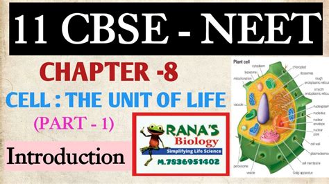 CLASS 11 CHAPTER 8 CELL THE UNIT OF LIFE PART 1 INTRODUCTION