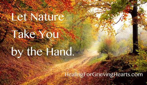 Let Nature Help You Heal Your Grieving Heart Healing For Grieving Hearts Halifax Ns