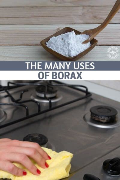The Many Uses Of Borax Uses For Borax Powder Borax Powder Borax Uses