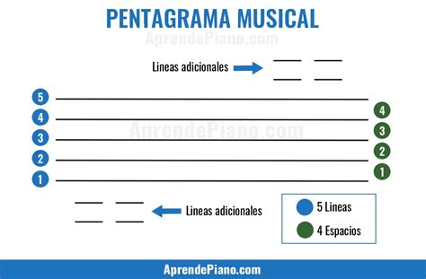 Partes Del Pentagrama Musical