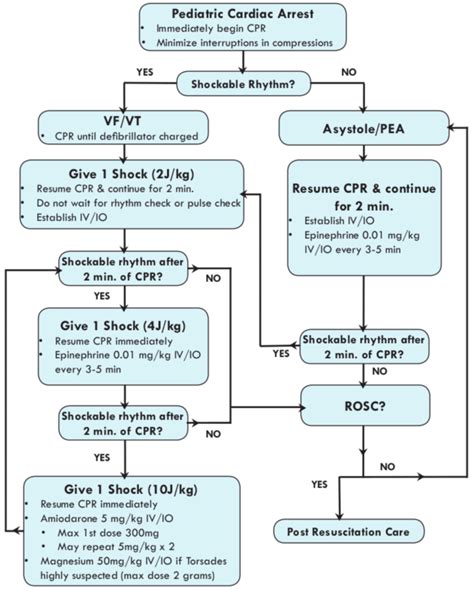 Cardiac arrest is the cessation of blood circulation due to absent or ineffective cardiac mechanical activity. −24. Algorithm for management of pediatric cardiac arrest ...