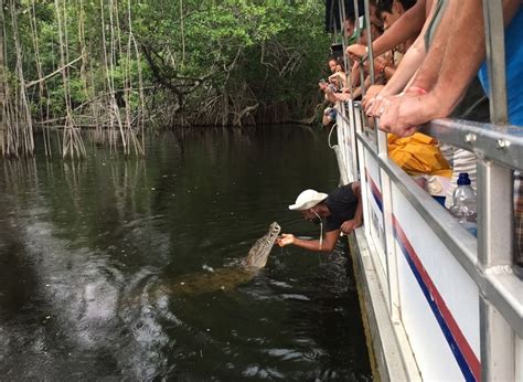 Black River Safari Tour Interact With Crocodiles In Jamaica