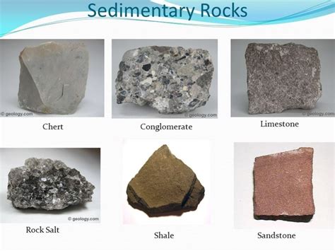 Sedimentary rocks are types of rock that are formed by the accumulation or deposition of mineral or organic particles at the earth's surface, followed by cementation. Which rock is a sedimentary rock? - Quora