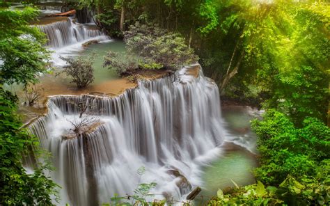 Thaïlande Des Cascades Des Arbres Fonds Décran 2560x1600