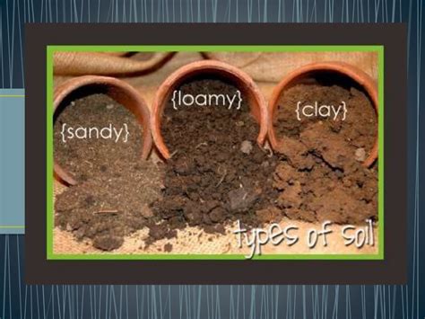 Types Of Soil Ppt
