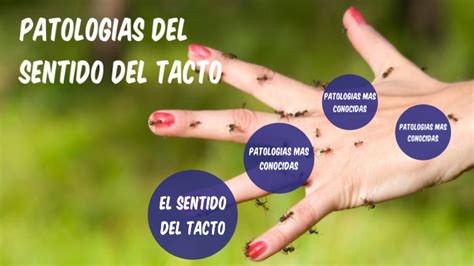 Patologias Del Sentido Del Tacto By Briza Quintana Beltran On Prezi