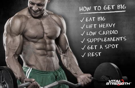 How To Gain Muscle Fast And Get Big In 6 Steps