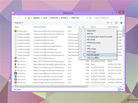 To check cookies manually checking cookies is not enough. Viewing cookie files in Windows