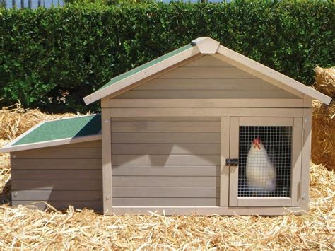 How To Build A Large Chicken House