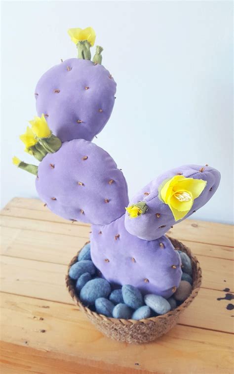 Unfortunately, some species of cactus also i've always heard that if you're ever running out of water in a desert, always go for a cactus. http://sosuperawesome.com/post/168651317881/plush-cacti-by ...