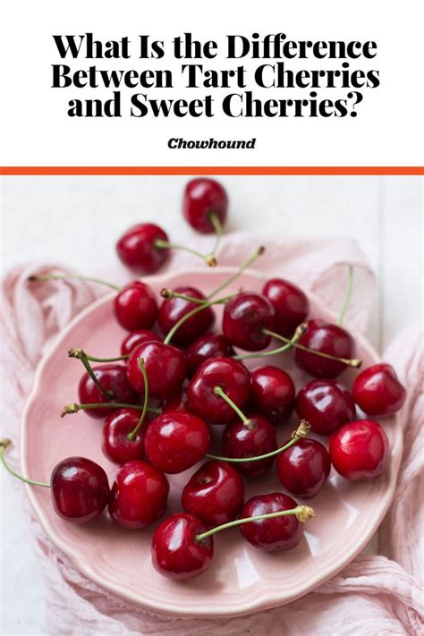 The Ultimate Guide To Cherries Tart And Sweet Healthy Midnight Snacks Food Midnight Snacks