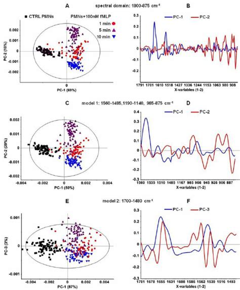Possiamo realizzare per il cliente anche opere di. SR microFTIR and principal component analysis (PCA) in ...