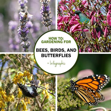 Invite more bees and butterflies into your garden today. Green in Real Life: Ideas for the Home Garden - Bees ...