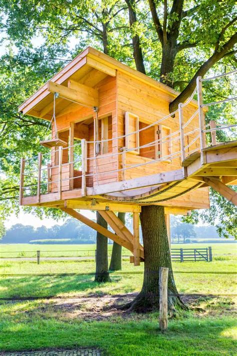 70 Fun Kids Tree Houses Picture Ideas And Examples