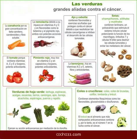 Las Verduras Planes De Alimentación Saludables Nutrición