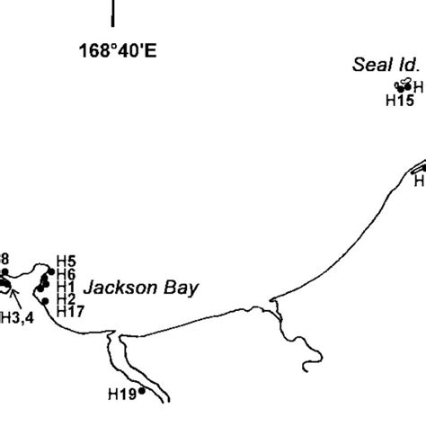 Location Of Stations H01 H19 In The 1999 Cascade Haast Survey