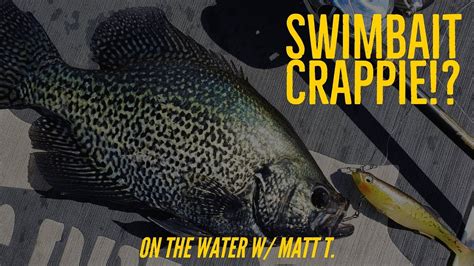 San diego and riverside's best credit union | california coast credit union. Jerkbait & Swimbait Fishing in Northern California with ...