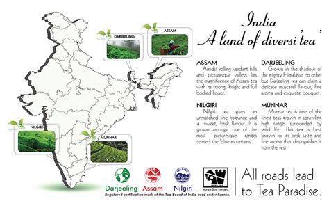 Permission to use india tea logo. Suntips : International Premium Tea Brand, Tea Products, Tea Blenders
