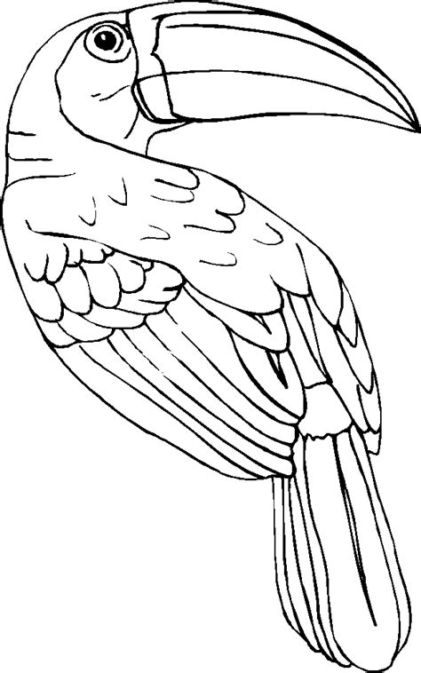 More 100 coloring pages from animal coloring pages category. 20 Toucan Sam Coloring Pages - Printable Coloring Pages