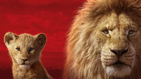 Lion King 2019 Wallpapers Wallpaper Cave