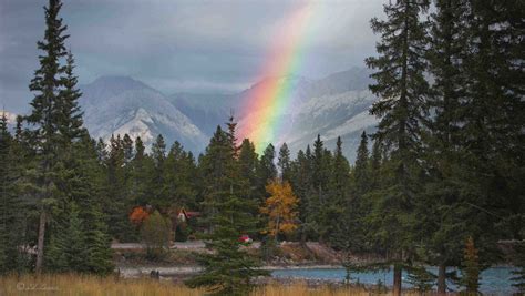 Choose between a one room cabin, a one bedroom cabin with separate living area. Alpine Village Cabin Resort Jasper | Jasper Cabin ...